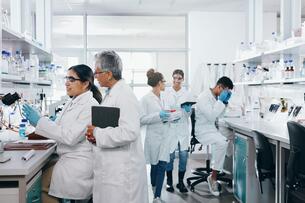 scientists working in a lab