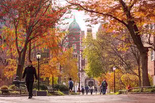 University of Pennsylvania Locust Walk on campus. 